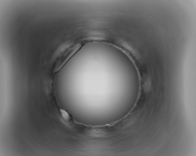 X0000114141448200910081255