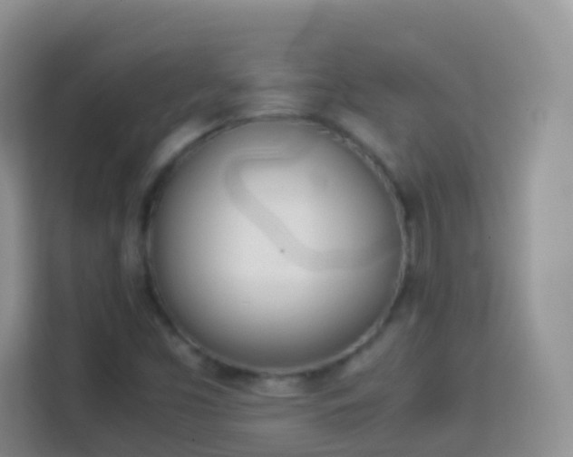 X0000114141453200910081255