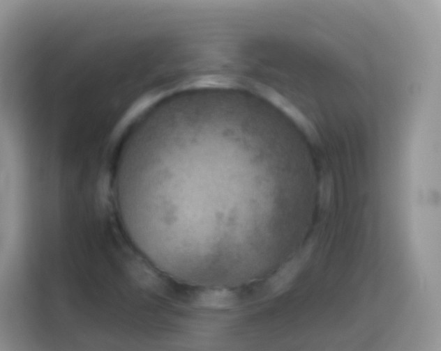 X0000114141454200910081255