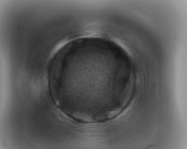 X0000114141455200910081255