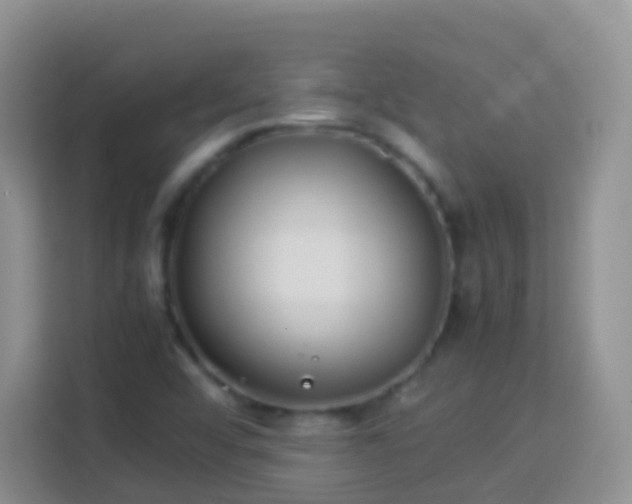 X0000114141456200910081255