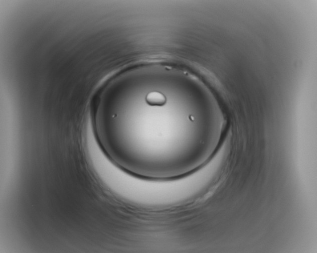 X0000114141457200910081255