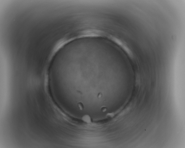 X0000114141459200910081255