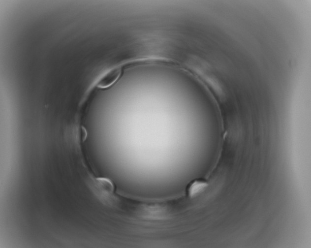 X0000114141460200910081255