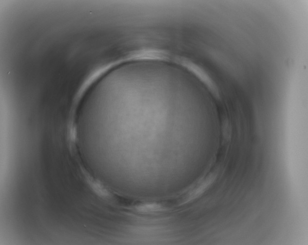 X0000114141462200910081255