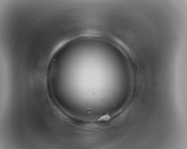 X0000114141463200910081255