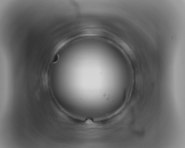 X0000114141465200910081255