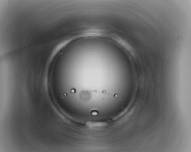 X0000114141469200910081255