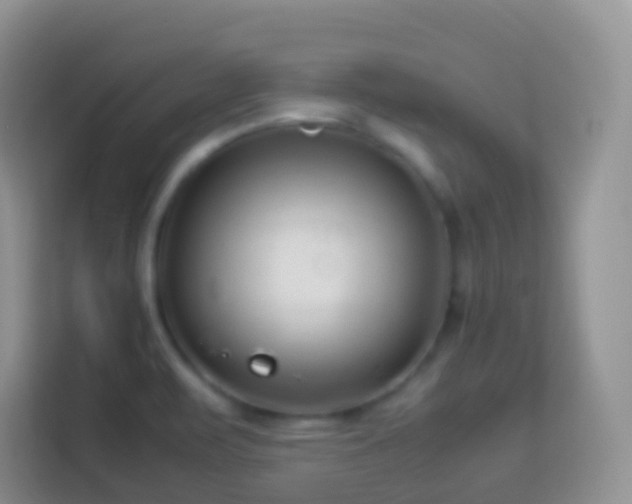 X0000114141471200910081255