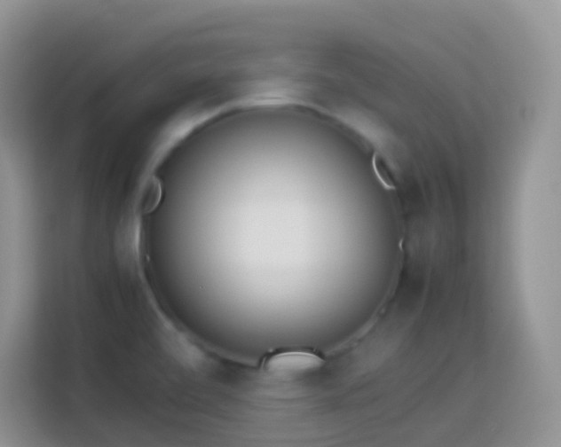 X0000114141472200910081255