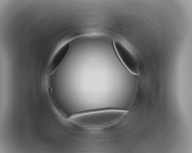 X0000114141476200910081255