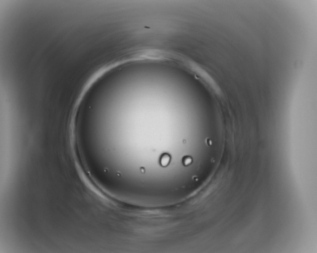 X0000114141479200910081255