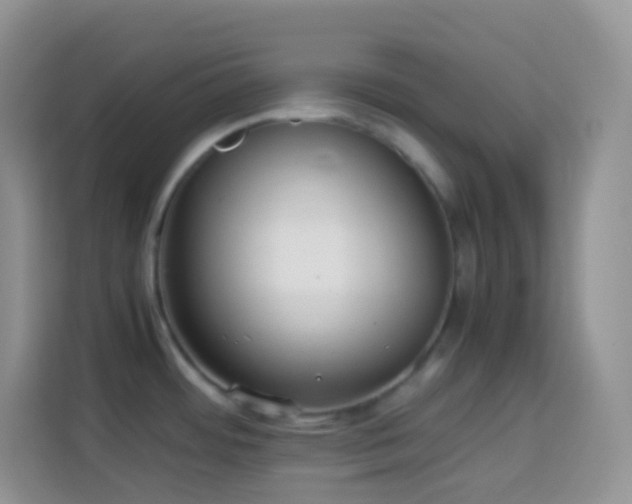 X0000114141484200910081255