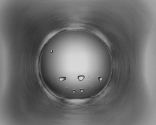 X0000114141485200910081255