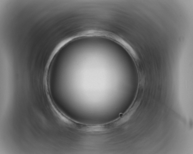 X0000114141486200910081255