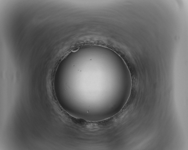 X0000114141489200910081254