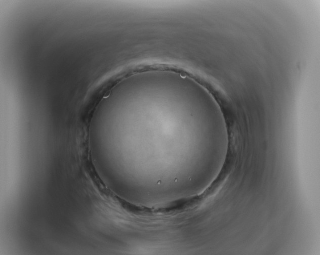 X0000114141494200910081254