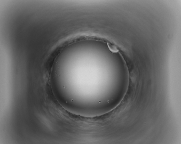 X0000114141495200910081254