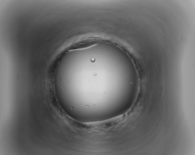 X0000114141496200910081254