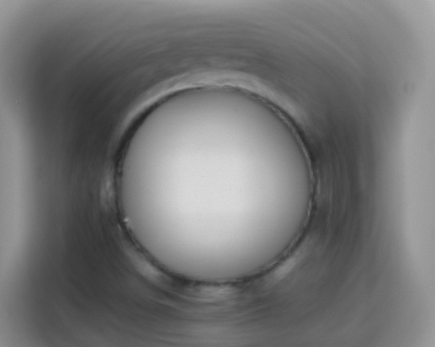 X0000114141498200910081254