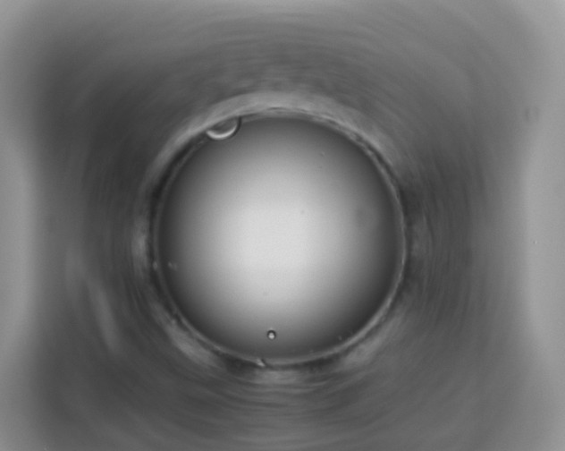 X0000114141499200910081254