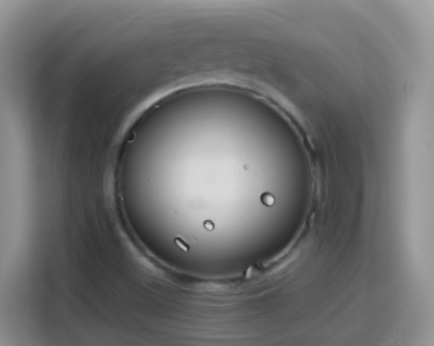 X0000114141500200910081254