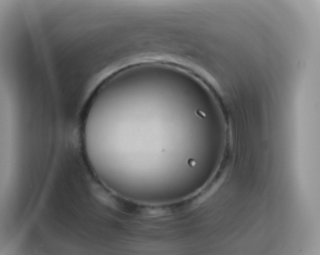 X0000114141501200910081254