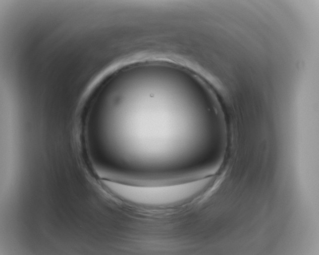 X0000114141502200910081254