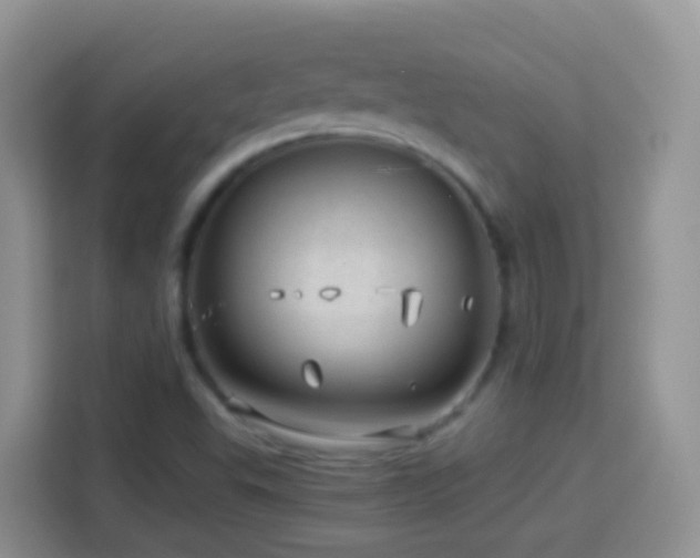 X0000114141503200910081254