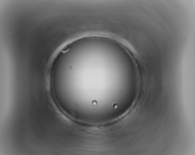 X0000114141504200910081254