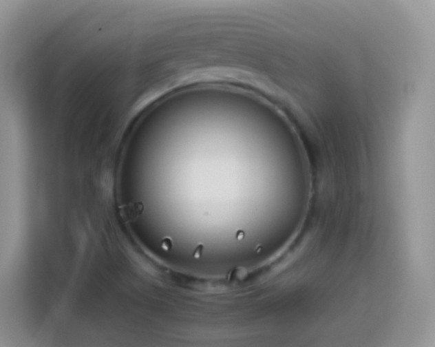 X0000114141505200910081254