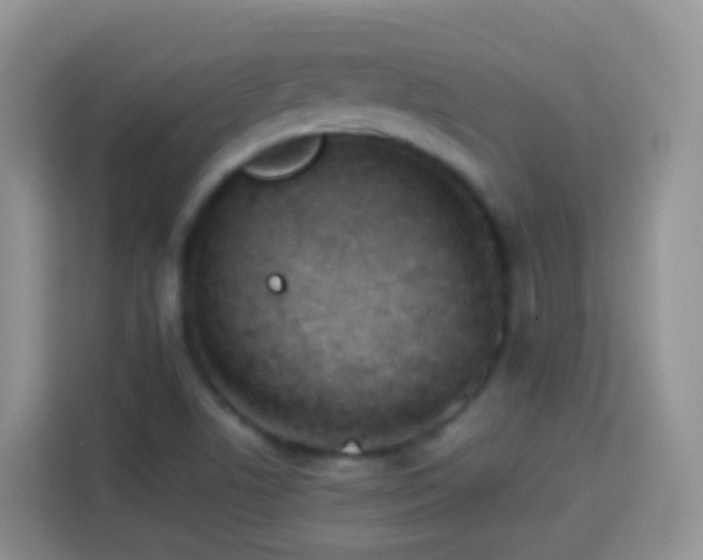 X0000114141506200910081254