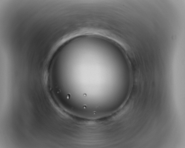 X0000114141507200910081254