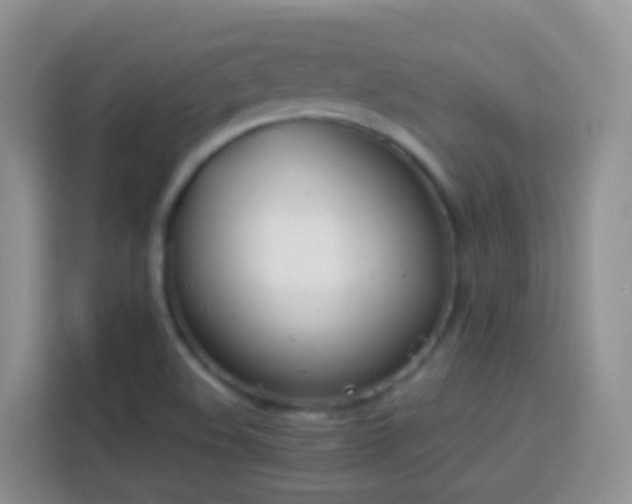 X0000114141508200910081254