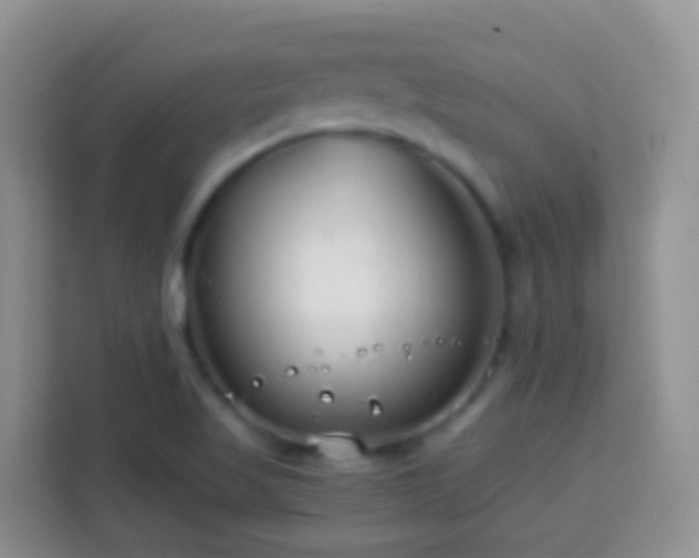 X0000114141509200910081254