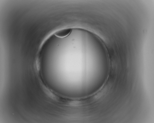 X0000114141510200910081254