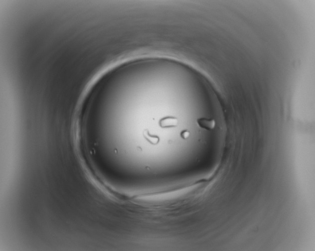 X0000114141511200910081254