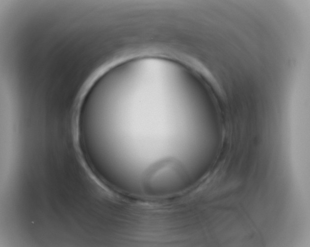 X0000114141512200910081254