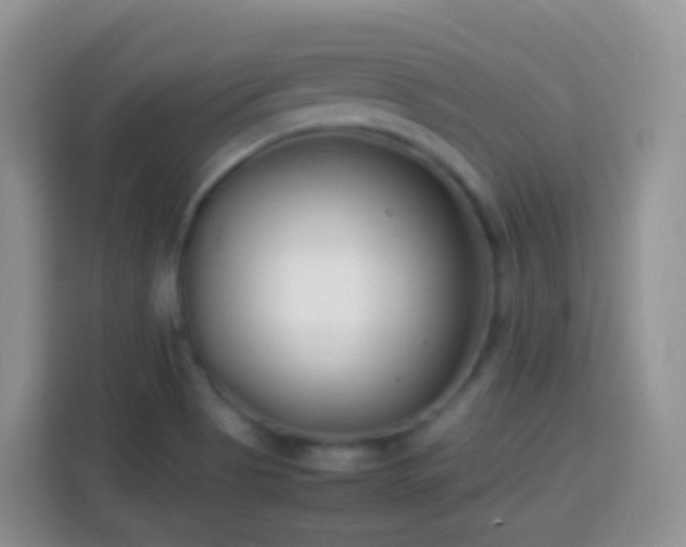 X0000114141513200910081254