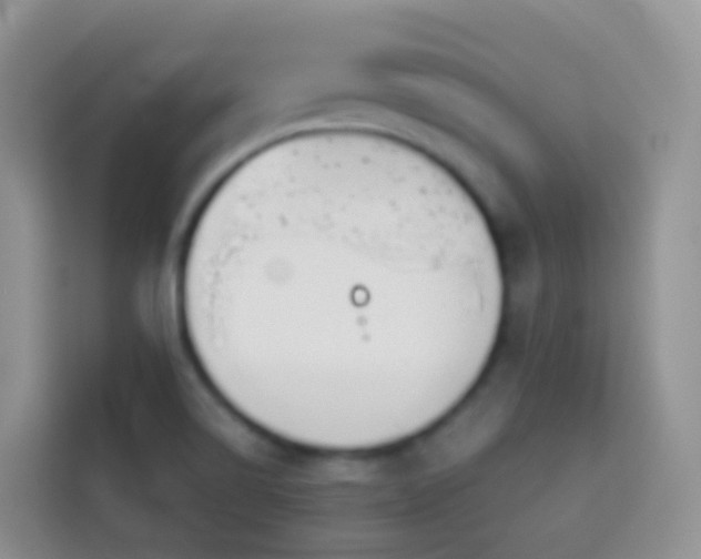 X0000114141514200910081254