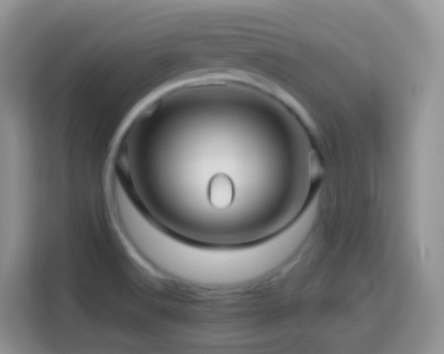 X0000114141516200910081254