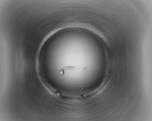 X0000114141517200910081254