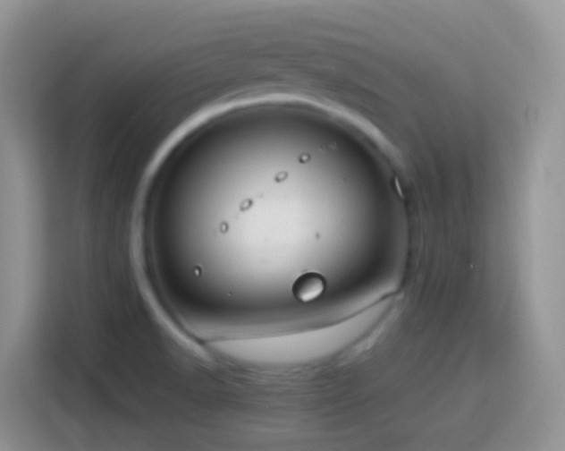 X0000114141518200910081254