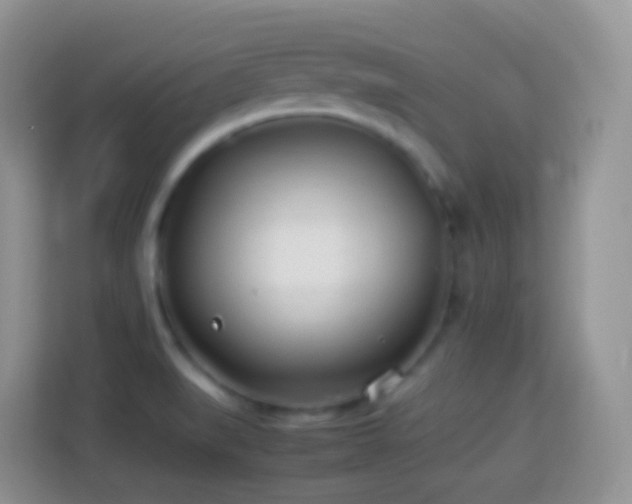 X0000114141519200910081254