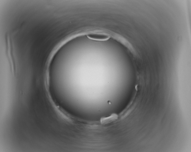 X0000114141520200910081254