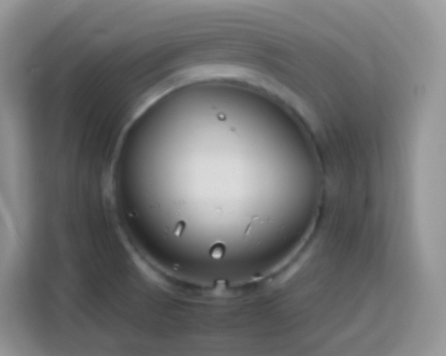 X0000114141521200910081254