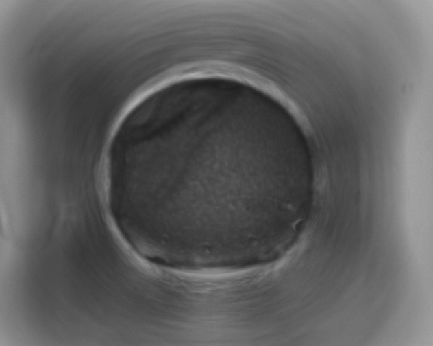 X0000114141522200910081254