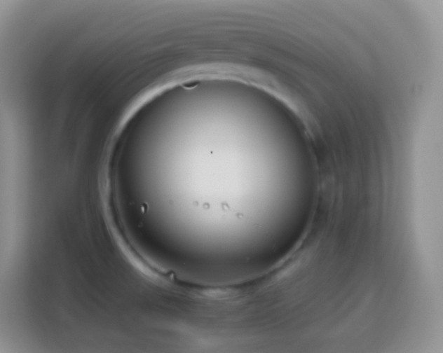 X0000114141523200910081254