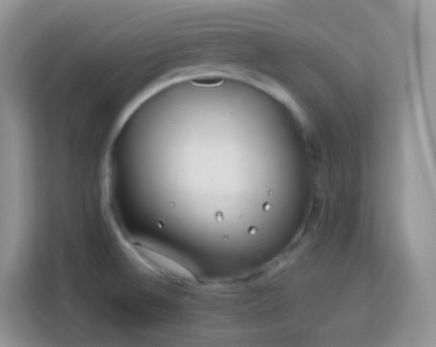 X0000114141524200910081254