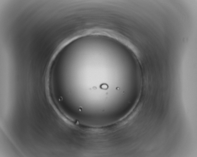 X0000114141525200910081254